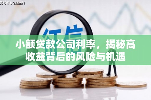 喀什小额贷款公司利率，揭秘高收益背后的风险与机遇