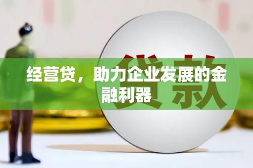 湖西经营贷，助力企业发展的金融利器