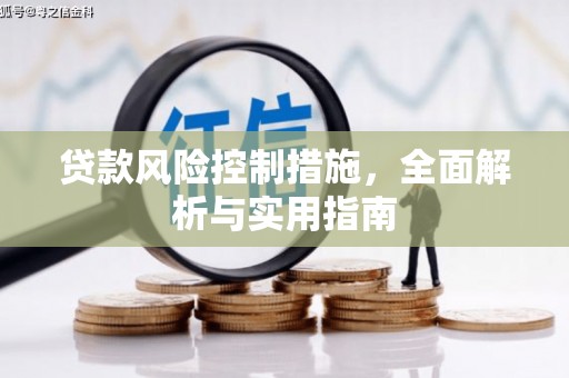 玛曲贷款风险控制措施，全面解析与实用指南
