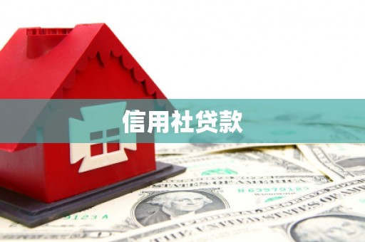 杏花岭信用社贷款