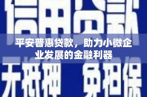 友谊平安普惠贷款，助力小微企业发展的金融利器