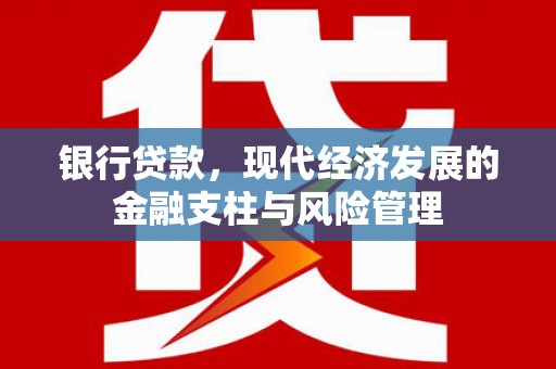 故城银行贷款，现代经济发展的金融支柱与风险管理