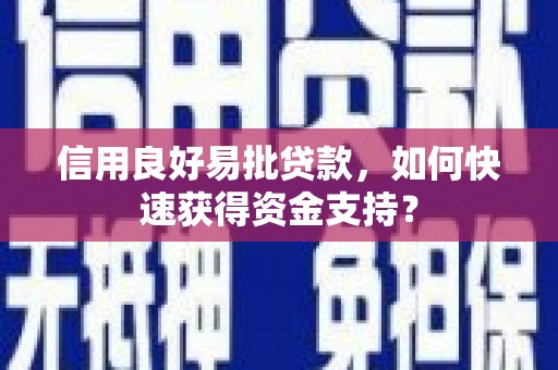 永新信用良好易批贷款，如何快速获得资金支持？