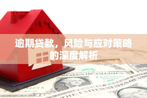 越西逾期贷款，风险与应对策略的深度解析
