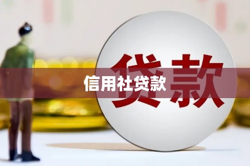 延平信用社贷款