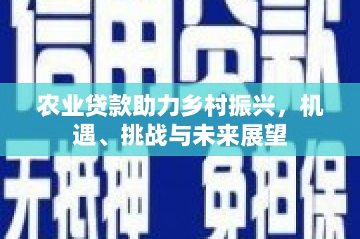 庄浪农业贷款助力乡村振兴，机遇、挑战与未来展望