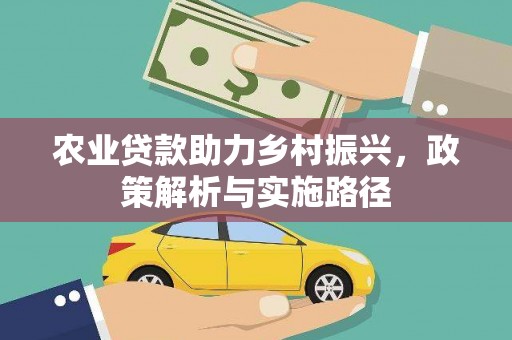 阆中农业贷款助力乡村振兴，政策解析与实施路径