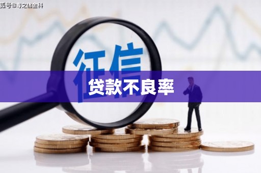 乐清贷款不良率