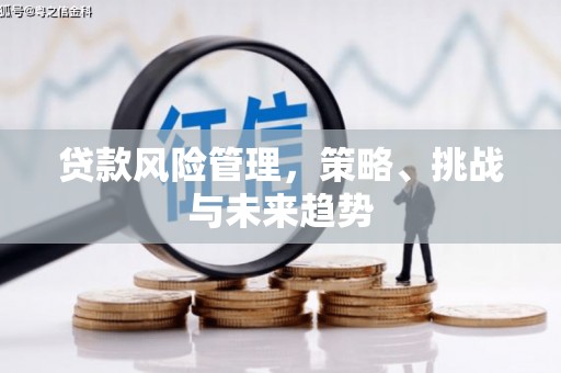 雁江贷款风险管理，策略、挑战与未来趋势