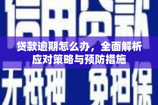塔什库尔干塔吉克贷款逾期怎么办，全面解析应对策略与预防措施