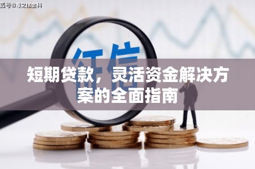 宜良短期贷款，灵活资金解决方案的全面指南