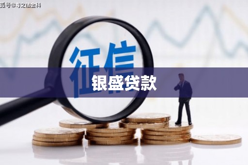 温岭银盛贷款