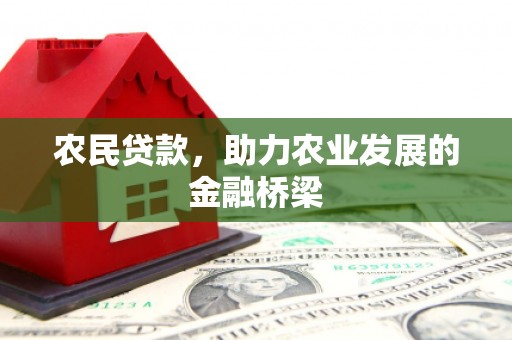 昭阳农民贷款，助力农业发展的金融桥梁