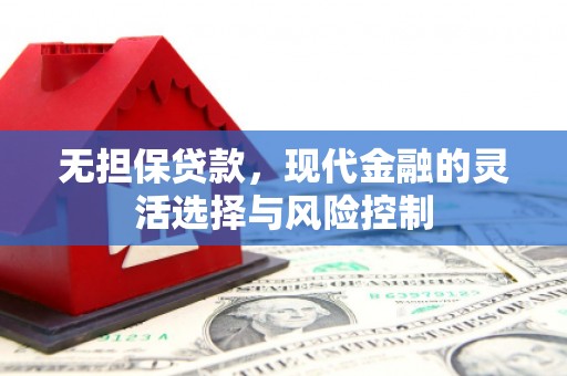 太保无担保贷款，现代金融的灵活选择与风险控制