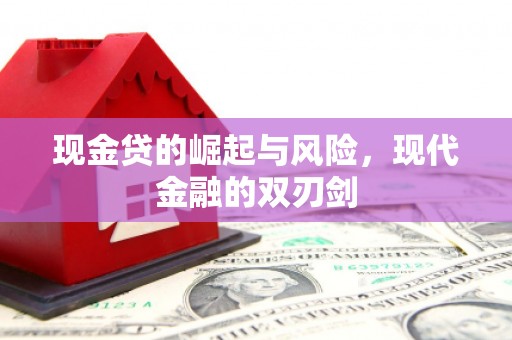 林园现金贷的崛起与风险，现代金融的双刃剑