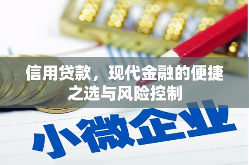 汤原信用贷款，现代金融的便捷之选与风险控制
