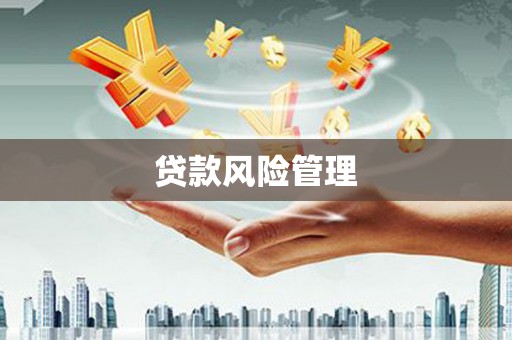 乳源贷款风险管理