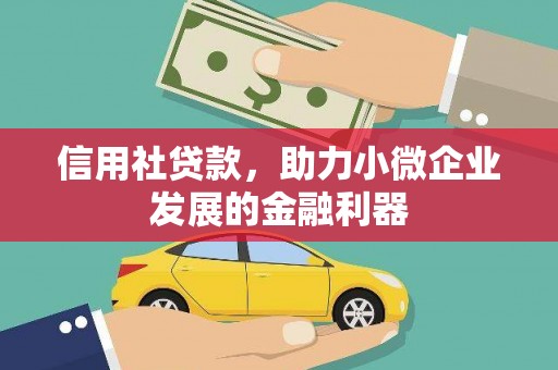 石家庄信用社贷款，助力小微企业发展的金融利器