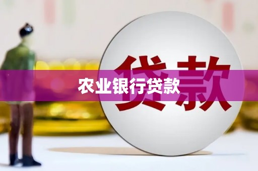 纳溪农业银行贷款