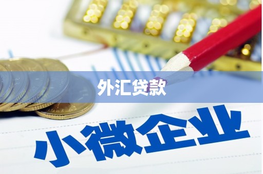 乐平外汇贷款