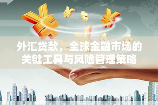 淡水外汇贷款，全球金融市场的关键工具与风险管理策略
