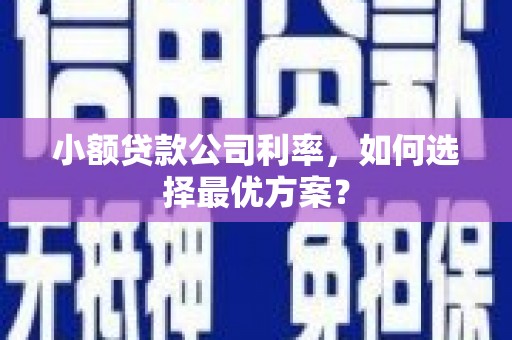 鲅鱼圈小额贷款公司利率，如何选择最优方案？