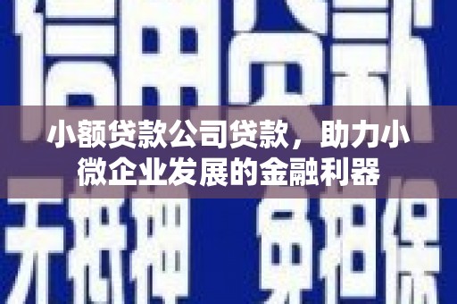 灌阳小额贷款公司贷款，助力小微企业发展的金融利器