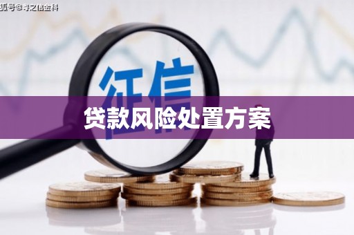 梁山贷款风险处置方案