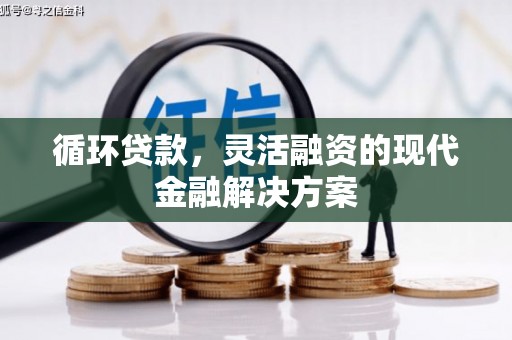 扶绥循环贷款，灵活融资的现代金融解决方案