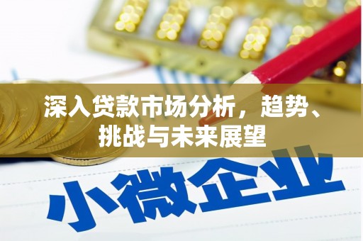 荣昌深入贷款市场分析，趋势、挑战与未来展望