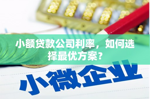 盐田小额贷款公司利率，如何选择最优方案？