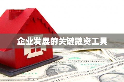 舟山新区企业发展的关键融资工具