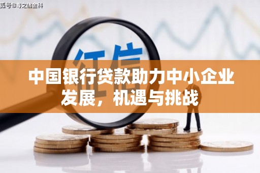 阳原中国银行贷款助力中小企业发展，机遇与挑战
