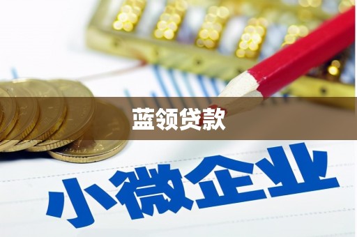 昌都蓝领贷款