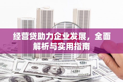 三穗经营贷助力企业发展，全面解析与实用指南