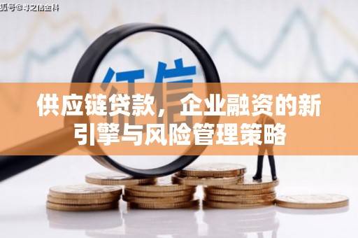 岳塘供应链贷款，企业融资的新引擎与风险管理策略