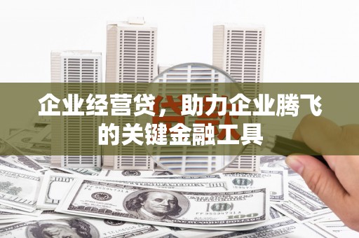 师宗企业经营贷，助力企业腾飞的关键金融工具