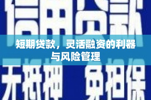 柯坪短期贷款，灵活融资的利器与风险管理