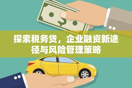 革吉探索税务贷，企业融资新途径与风险管理策略