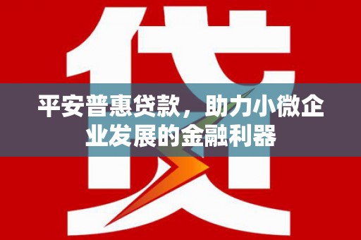 金台平安普惠贷款，助力小微企业发展的金融利器
