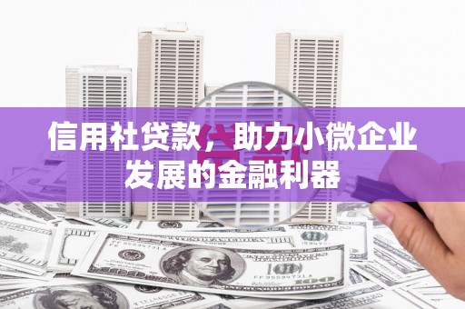 清水河信用社贷款，助力小微企业发展的金融利器
