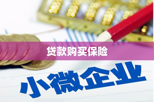 明光贷款购买保险