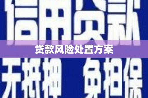 阳城贷款风险处置方案