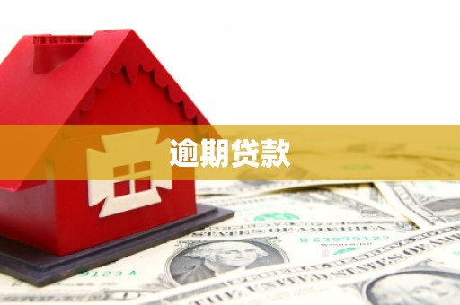 清河门逾期贷款
