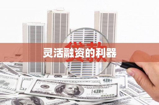 德庆灵活融资的利器