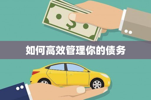 姑苏如何高效管理你的债务