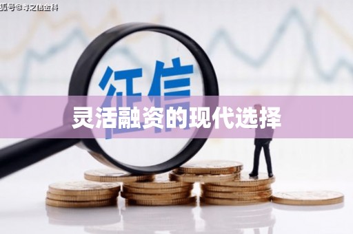 南宫灵活融资的现代选择