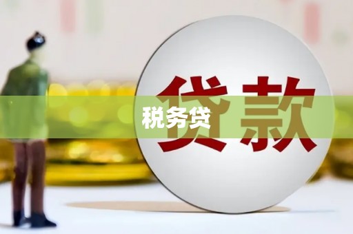 临潭税务贷