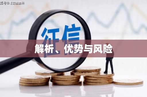 望谟解析、优势与风险