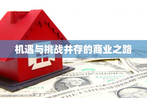 岱岳机遇与挑战并存的商业之路
